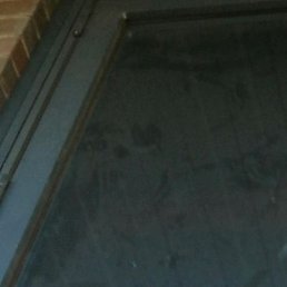 ������, ������������, 42 ����