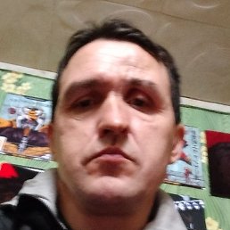 �������, �������, 49 ���