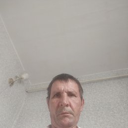 , 52 , 