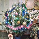 ���� ������� ��������, ������, 71 ��� - ��������� 9 ������ 2026 � ������ ���� ����������