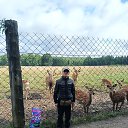 ���� �����, ������������, 41 ��� - ��������� 4 ������ 2026