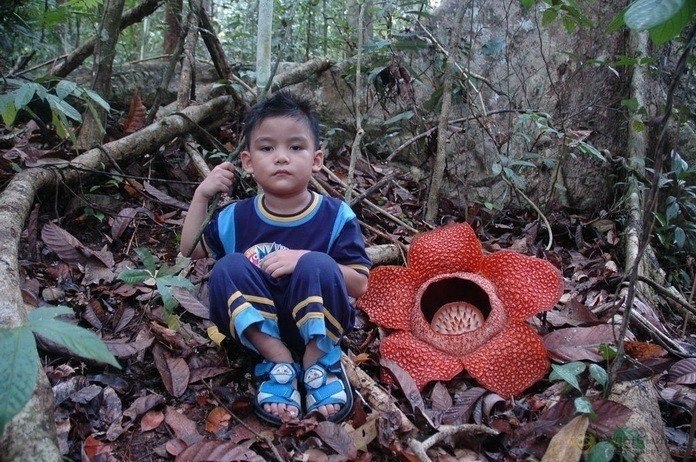    ,   13 :       ... - 3