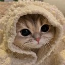 ���� ����, ������, 21 ��� - ��������� 21 ������� 2024 � ������ ���� ����������