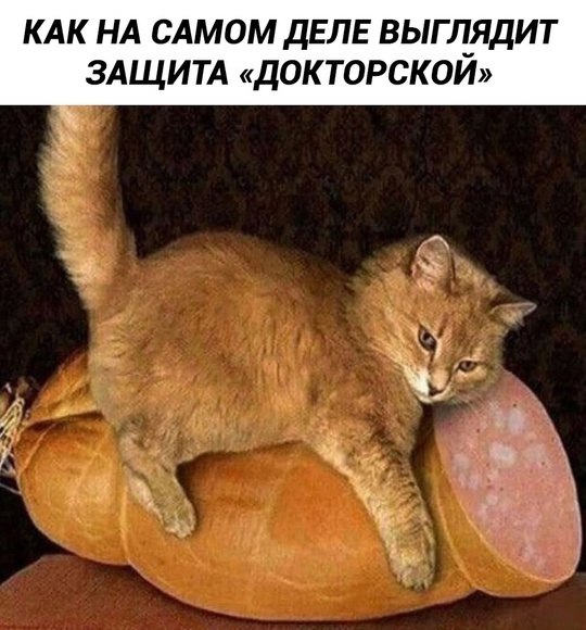 �������� - 18 ����� 2025 � 12:27