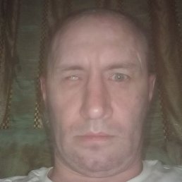 �������, ������, 46 ���