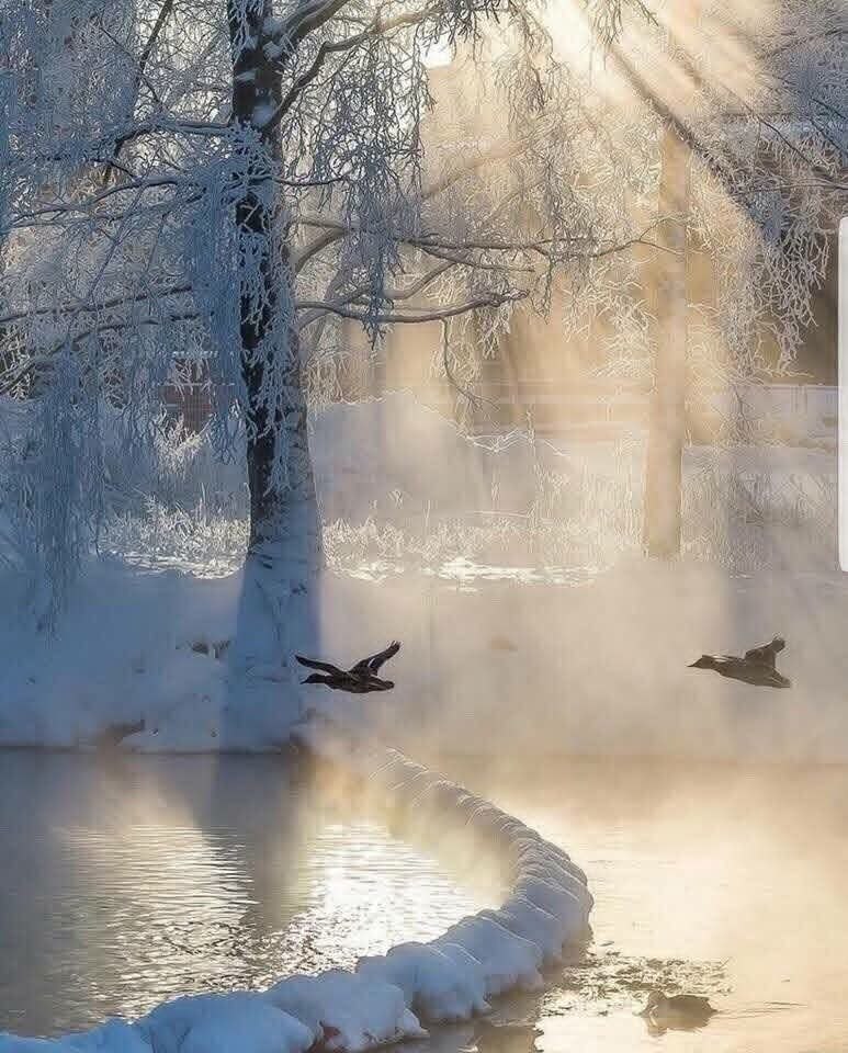 ������, �� � ������ �� �����, ��� � ������... ------------------- ����� ���������