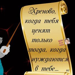 �����, ������, 43 ����