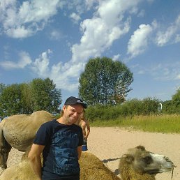 ���� ��������, ������, 51 ��� - ��������� 20 ������ 2024