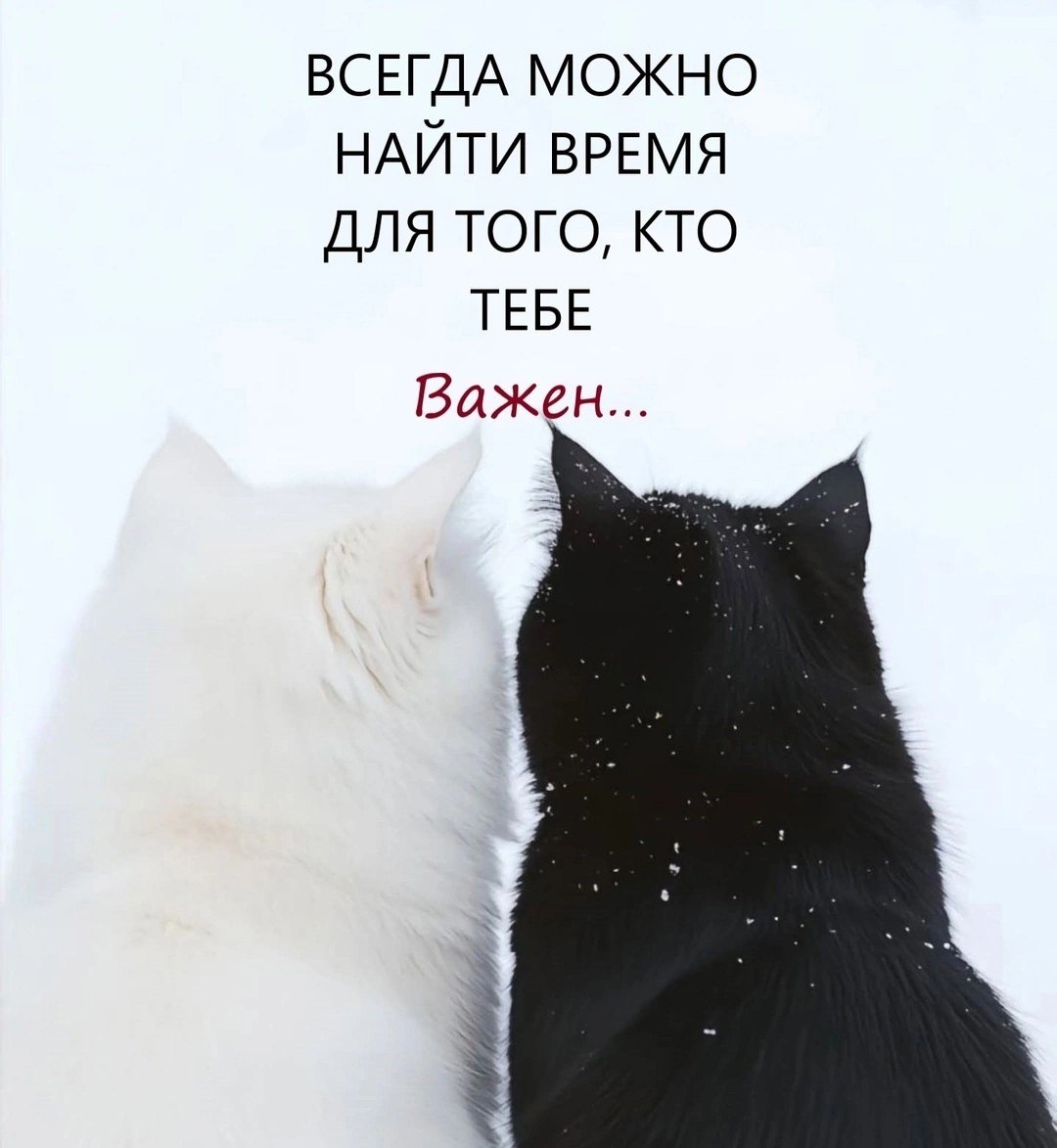  - 22  2025  08:41