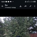���� �����, ������, 66 ��� - ��������� 13 ���� 2026 � ������ ���� ����������