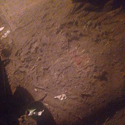 ���� ����, ������, 40 ��� - ��������� 6 ������ 2025