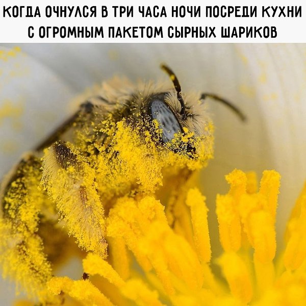  - 4  2025  19:58