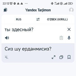 ���� �����, ������, 44 ���� - ��������� 21 ������ 2024