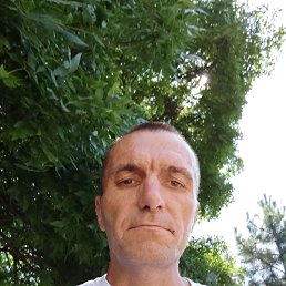 , 44 , 
