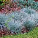 ���� ������, ������, 74 ���� - ��������� 19 �������� 2025 � ������ ���� ����������