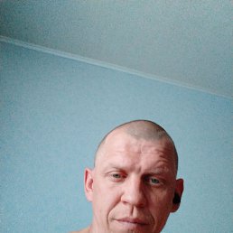 , 40, 