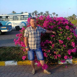 ����, �������, 59 ���