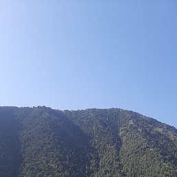 ������, �������, 31 ���