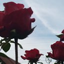 ���� �������, ����� - ��������� 29 ����� 2026 � ������ ���� ����������