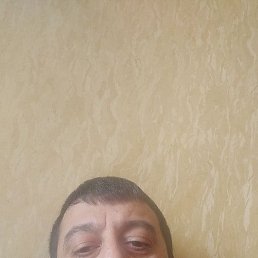 ������, �����-���������, 41 ���