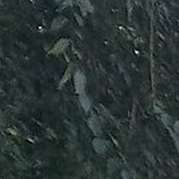 ���������, �����������, 52 ����