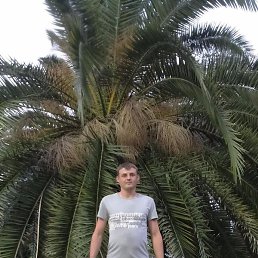 �������, ������, 39 ���