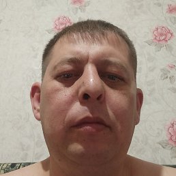 ��������, ������, 39 ���