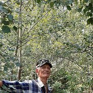 �������, 59 ���, ������