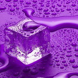 �����, �����, 47 ���