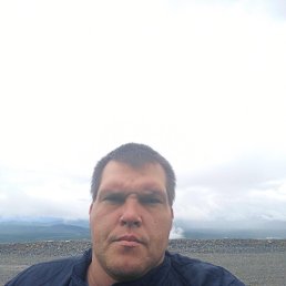 ����, 41 ���, ���������