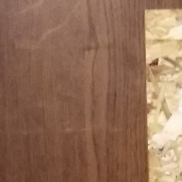 ������, �������, 38 ���