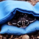 ���� �� Z, ������ - ��������� 1 ������ 2025 � ������ ���� ����������