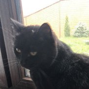 ������, 55 ���, �����-���������