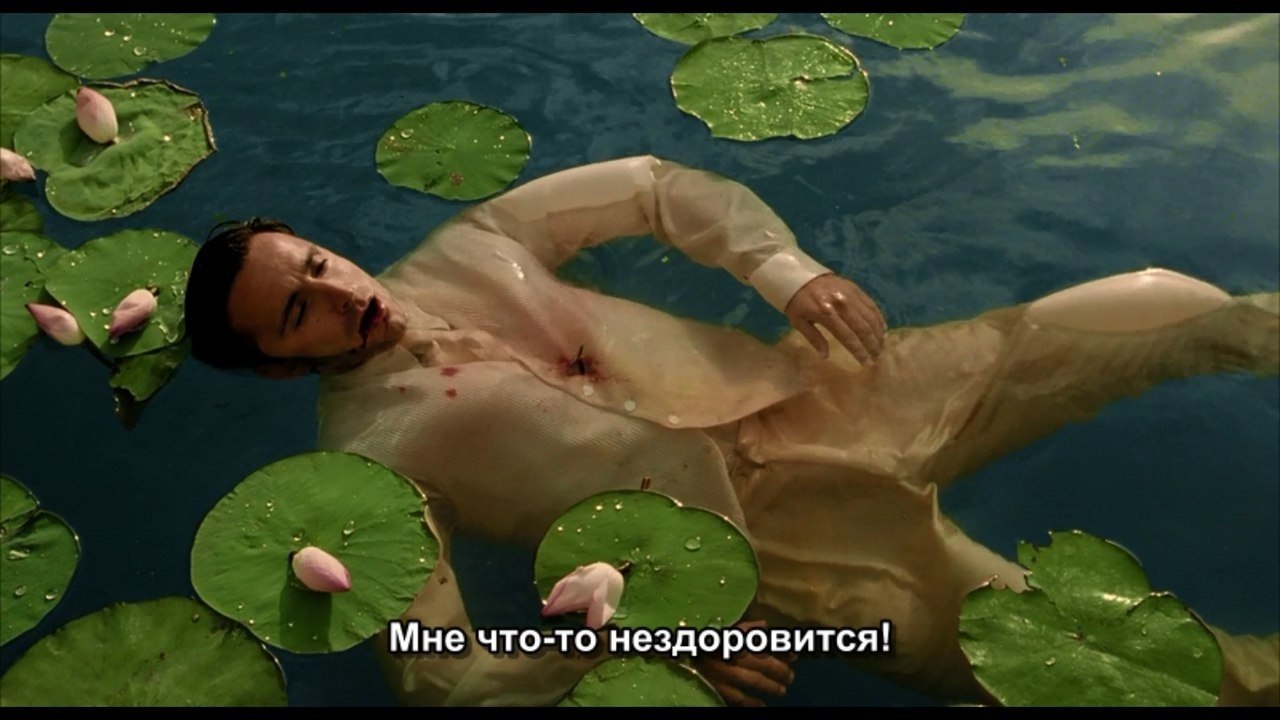  / The Fall, 2006.dir. Tarsem Singh - 3