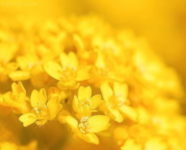    - 29  2024  12:13 - 4