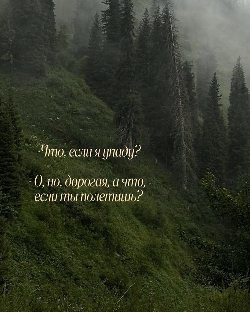       - 14  2025  20:15 - 10