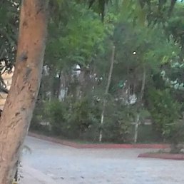 ����, �������� �����, 46 ���