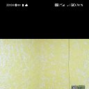 ���� �������, ����, 65 ��� - ��������� 5 ������ 2026 � ������ ���� ����������