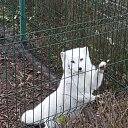 ���� �������, �����, 35 ��� - ��������� 20 ������ 2023 � ������ ���� ����������