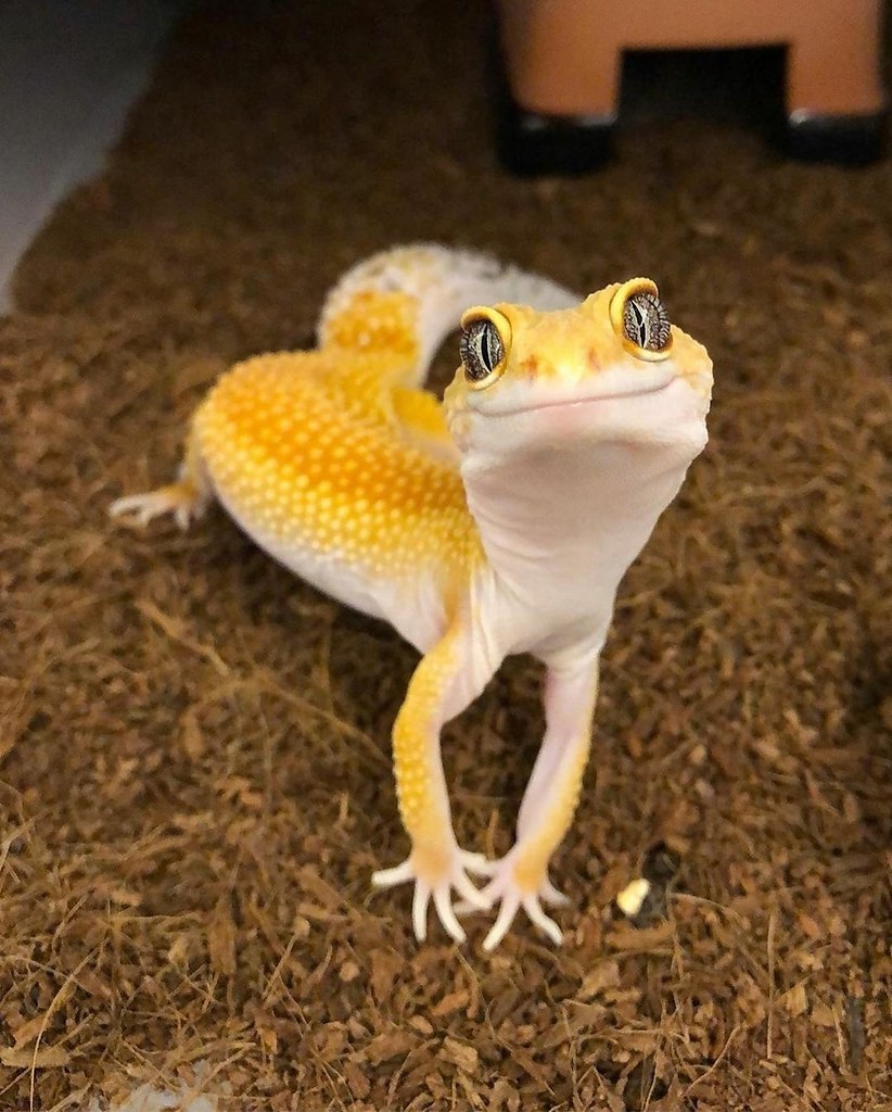 - ?   !