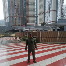 ��������� �����, ������, 43 ����