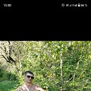 ���� ������, ������, 40 ��� - ��������� 7 ������� 2025 � ������ ���� ����������