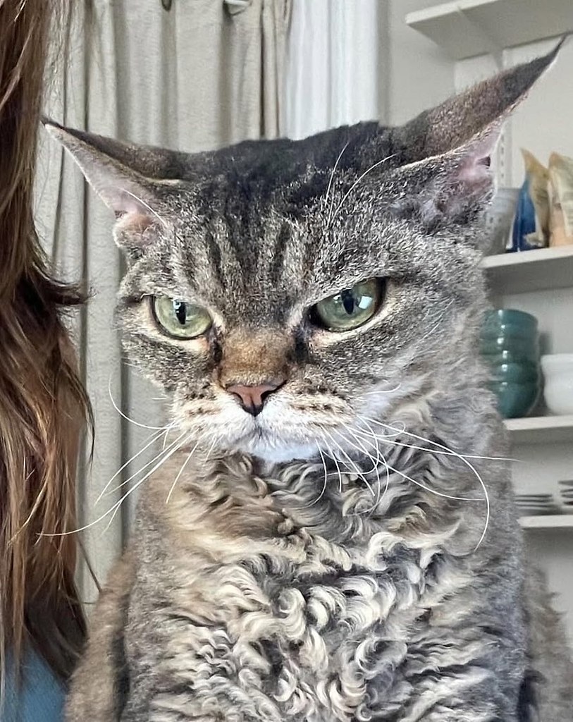  .       ,       ... - 6