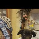 ���� ����, ������-��-����, 58 ��� - ��������� 29 ������� 2025 � ������ ���� ����������