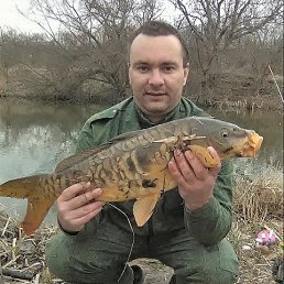 , 35, 