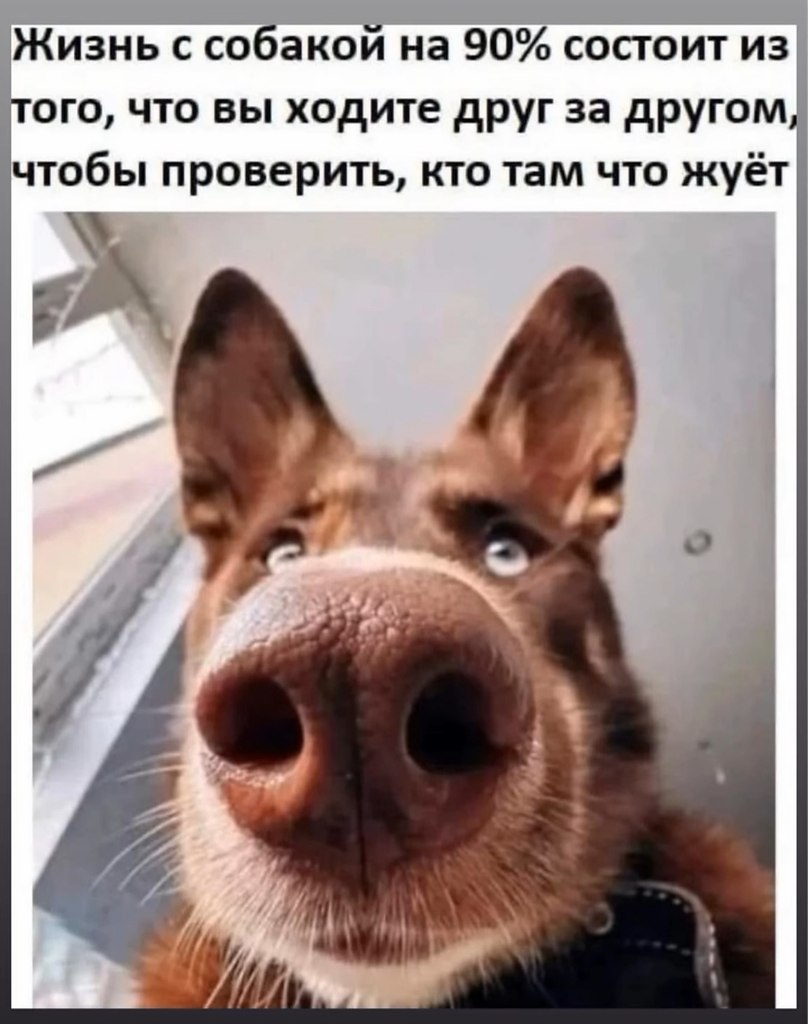 ПреЛЮДИи чувств - 26 октября 2025 в 00:28