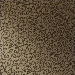 ���� �����, ������, 38 ��� - ��������� 8 ������ 2026