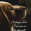 ���� Inga, ������, 52 ���� - ��������� 8 ���� 2024 � ������ ������ ��������