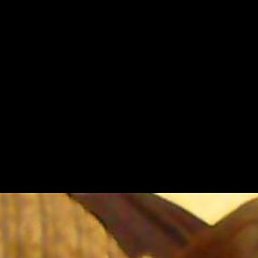 ���������, ��������, 36 ���