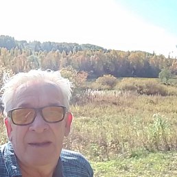 , 66 , 